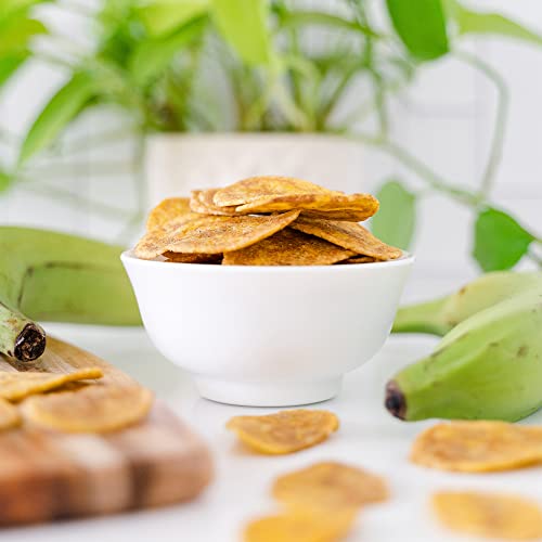 Image of ARTISAN TROPIC Sea Salt Plantain Chips - 4.5 oz Bags (6 Pack)