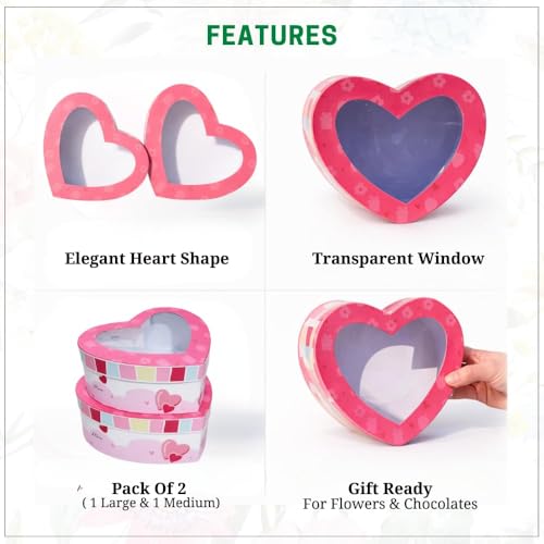 Image of Oasis Pack of 2 Heart Shaped Gift & Flower Hamper Boxes With Clear Lid | Classic Bouquet Box for Flower Arrangements & Gift Hampers | Decorative Gift Packaging Box - Pink Cupid Choice Heart