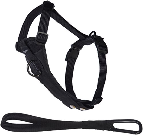 Amazon Basics Adjustable Dog Leash with Harness, Medium (25-50 lbs.)