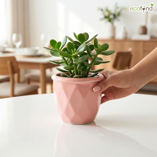 Image of ecofynd 4 Inch Ceramic Plant Pots with Drainage Hole, Modern Decorative Clay Flower Pots for Indoor Plants, Home Garden Decor for Living Room, Bedroom & Interior Spaces (CPOT043-PNK)