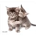 Allsop Naturesmart Mouse Pad, Kittens (30184)