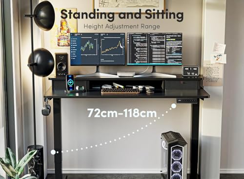 Image of FEZIBO 120 * 60 cm Electric Standing Desk with Storage Drawers and Cubicle, Adjustable Height Sit Stand Desk with Wooden Stand,Memory Preset Controller Equipped,Black