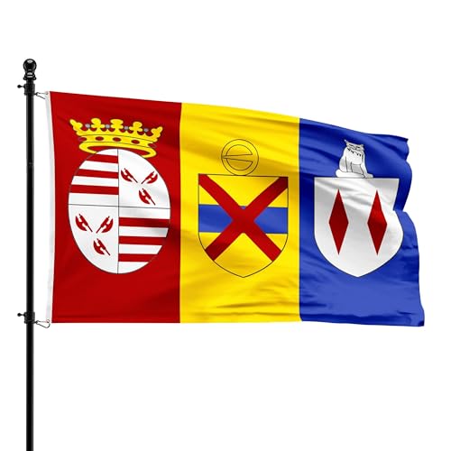 Drapeau de Londerzeel de 90x150 cm avec œillets pour pavillon extérieur