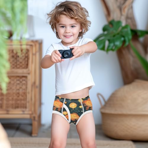 visesunny Boys Potty Training Underwear Lucky Koi Lantern Breathe Cotton Briefs Size 2T-8Y for Toddler3