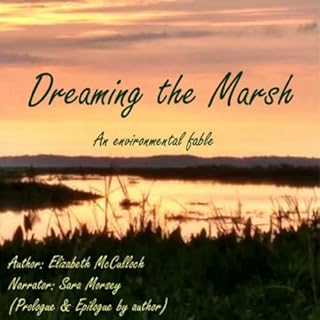 Dreaming the Marsh cover art