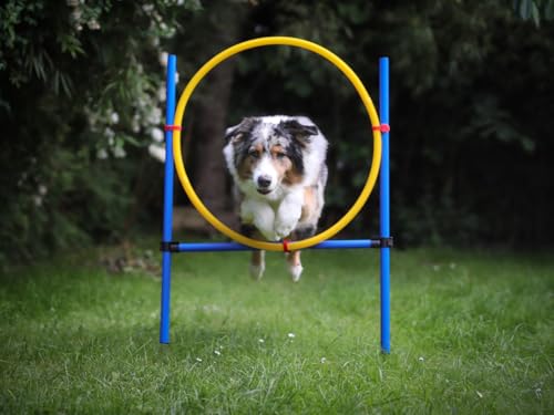 NATIV LEMODO Agility Set Hunde | Hundetraining mit Agility Hürde und Sprungring | Einfach zu transportierendes Hundetraining Zubehör | Einsteiger-Set in den Hundesport