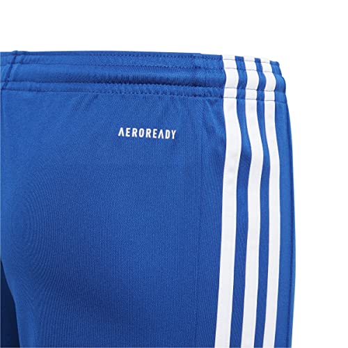 adidas Garçon Squadra 21 Shorts, Royal Blue / White, 11-12 Years