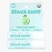 Space Camp Wellness Jumbo Lip Balm - Frosted Mint Organic Flavored Balm (2 Pack)
