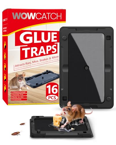 Wowcatch Sticky Mouse Traps Indoor for Home - 16 Pack Pre-baited Glue Traps for Roaches, Spider, Lizard, Bulk Sticky Rodent Catcher for Kitchen, Garage, Pet Safe Pest Control, Non-Toxic, Small Size
