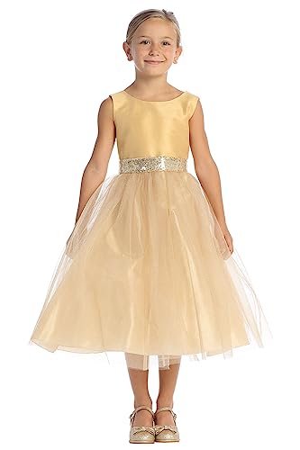 Pink Princess Made in USA Girls Christmas Dress - Flower Girl Dresses for Weddings - Toddler Daddy Daughter Dance