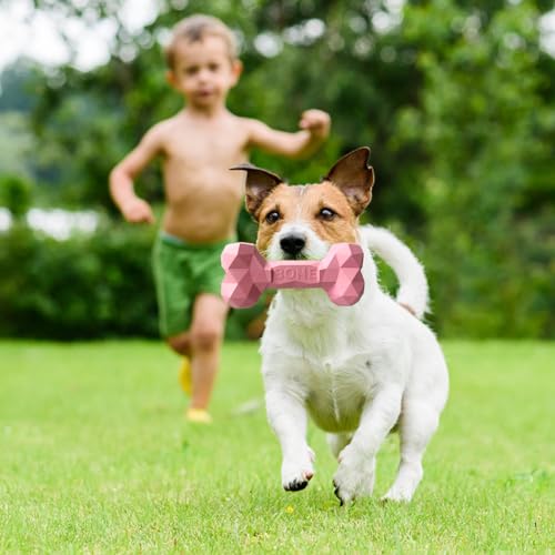 SAVOSWEET Kauspielzeug Hund Knochen Gummi, Hundespielzeug Knochen Unzerstörbar, Hundeknochen Kleine Hunde Rosa, Geeignet für Hunde Innerhalb von 5 Kg, Hundespielzeug zur Zahnreinigung
