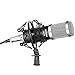 Neewer NW-800 Pro Cardioid Studio Condenser Microphone Set with Shock Mount, Ball-type Anti-wind Foam Cap, 3.5mm to XLR Audio Cable for Recording Broadcasting YouTube(Black/Silver)