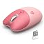 Pink Cat