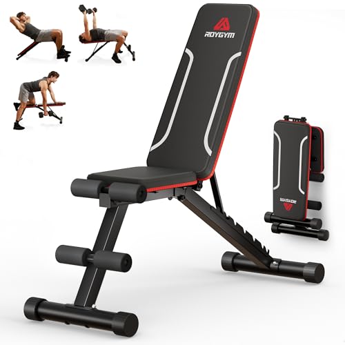 Roygym Panca Palestra Pieghevole, Panca Piana con schienale regolabile in 9 posizioni, Panca...