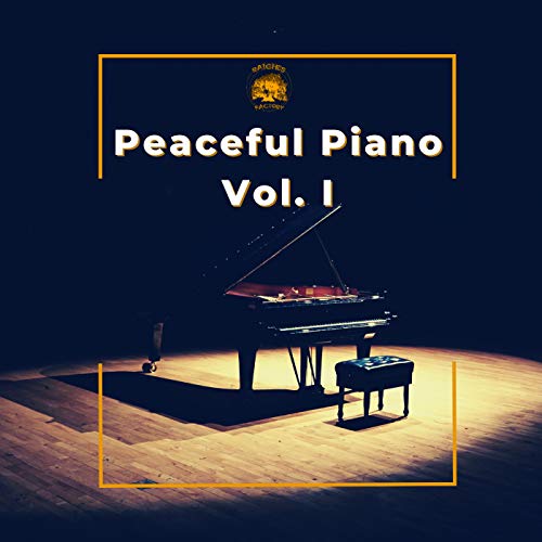 Play Peaceful Piano Vol. I by VARIOUS ARTISTS on Amazon Music Unlimited