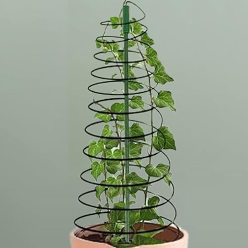 Treillis de jardin obélisque extérieur pour fleurs et haricots - 8