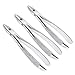 OdontoMed2011Â® 3 Pcs Extraction Forceps Md1 Mead Pattern Upper Incisors Root Teeth Dental Instruments ODM