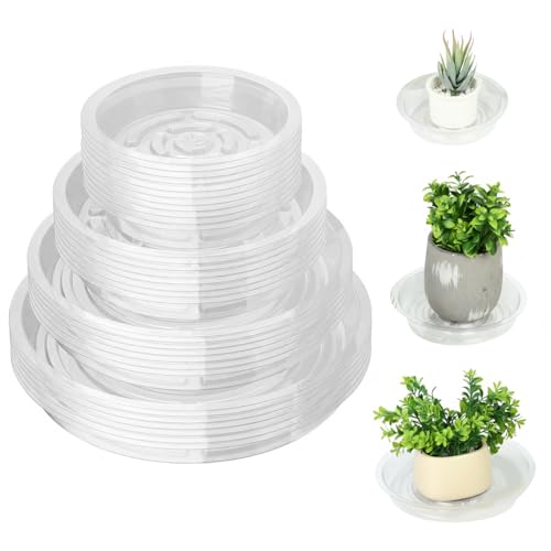 Protégez vos parquets de l'eau avec ces soucoupes transparentes de 15 à 30 cm