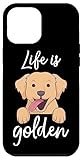 Golden Retriever Outfit Pet Apparel
