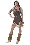 California Costumes womens Adult- Indian Princess Adult Sized Costume, Brown, Small US