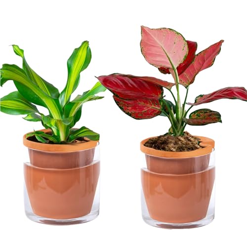 VCQIEO 4 Inch Self Watering Planter Pots, Terracotta Clay Pots with Cylinder Glass Cup for Indoor Plants, Herbs, Flowers, Set of 2