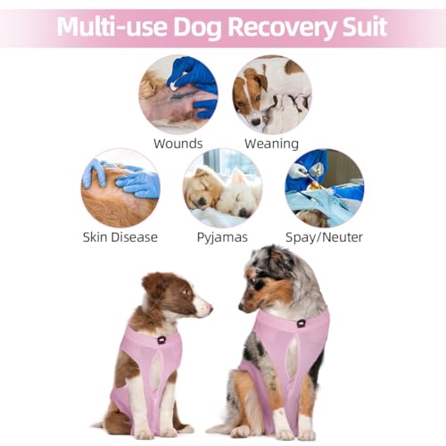 Adiwo Pet Recovery Suit, Hunde Nach Op Kastration Wundschutzanzug für Klein- und Mittelgroße Hunde, Body Suit nach der Operation, Kurz-L (4–7 kg)