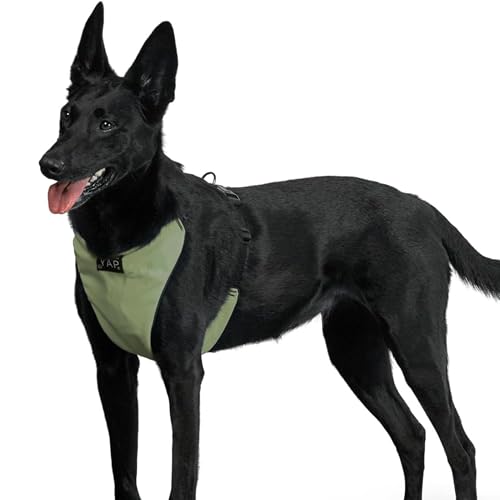 YAP Techno® No Pull Dog Harness, 4-Way Adjustable, Dog Harness No Choke with Easy Control Handle, Pet Vest Harness for All Breeds; 30-55 lbs (Regimental Green, Medium-Wide)