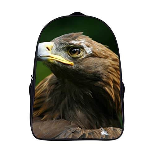 Sac à dos voyage aigle grand compartiment 40cm pour le travail et l'école