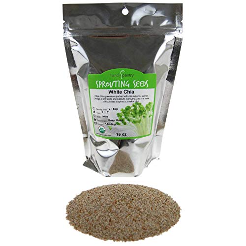Organic White Chia Seeds- 1 Lbs- Sprouting Seeds for Growing Sprouts, Chia Pet Refills, Food Storage, Sprout Salad