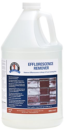 1 Shot 'N Gone 1S-EFF Efflorescence (Salt Staining) Remover, 1 Gallon - //coolthings.us