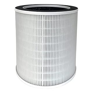 Igenix IGAP0001 Replacement H13 HEPA Filter for IG9600WIFI