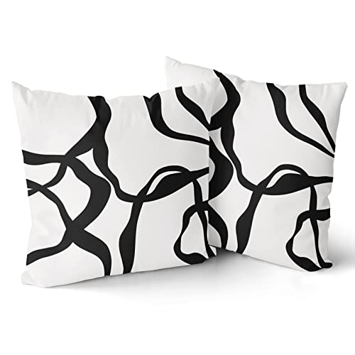 Black And White Pillow Covers 18X18 Set Of 2 Modern Abstract Art Line Boho Design Throw Pillows Bohemian Decorative Pillowcase Cotton Square Cushion Case For Home Living Room Porch Sofa Couch Bed #TOP1