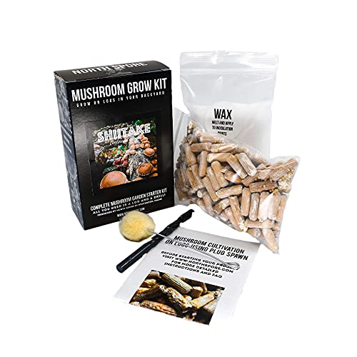 North Spore Shiitake Mushroom Log Kit, Outdoor DIY Mushroom Kit, Easy & Fun Wellness Hobby, Includes 100 Count Mushroom Plugs for Logs, Made in USA, Gourmet Culinary Mushrooms, Medicinal Mushrooms