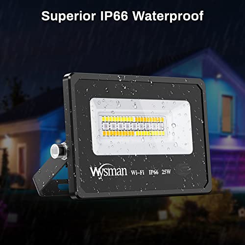 Wysman Rgb Outdoor Flood Light, 25W Smart Color Changing Exterior Landscape Lights With Remote,Wall Washer Decor Lights Works With Alexa For Patio Tree Events Party-2 Pack(3 Prong Plug With 5Ft Cord) #TOP6