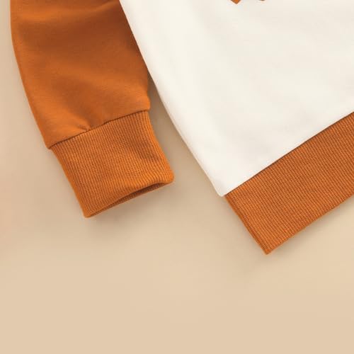 Toddler Boys Halloween Clothes Pumpkin Print Long Sleeve Round Neck Pullover Solid Color With Pocket Pants Set3