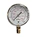 Gauge 2.5 X 4000 LM
