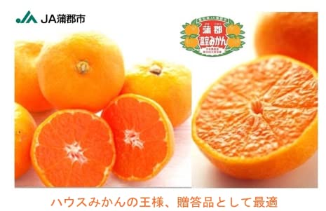 Amazon.co.jp: 蒲郡温室みかん ハウスみかん 愛知県産 秀品 Sサイズ 15