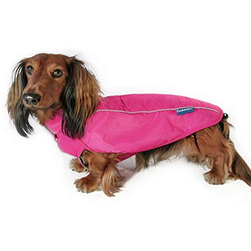 Dachshund Clear Raincoat Online, 57 