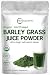 Sustainably US Grown, Organic Barley Grass Powder, 1 Pound, Rich Fibers, Vitamins, Minerals, Antioxidants, Chlorophyll, Essential Amino Acids and Protein. No Irradiated, No GMOs and Vegan Friendly.
