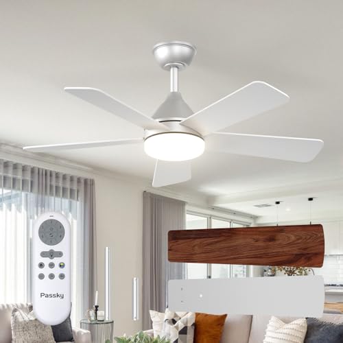 Image of Passky Ceiling Fans with Lights, 42 inch Sleek Ceiling Fan with Light and Remote Control, 3CCT, Dimmable, Reversible, Noiseless, Silver Ceiling Fan for Bedroom, Living Room