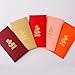 SM SunniMix 10x Chinese New Year Red Envelopes 2025 Snake Hongbao Spring Festival Lucky Money Envelope for Christmas Holiday Housewarming, 5 Mixed Color