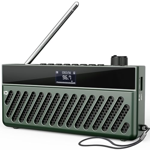 SHIDU Portable FM Radio with Bluetooth Speaker 10W Rechargeable Speaker Supports TF, USB, AUX Auto Scan Save