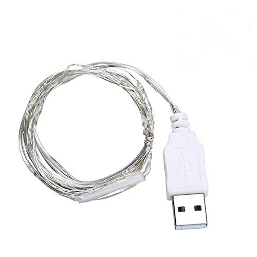 Fidt 9ft 30 LED USB String Lights Silver Wire String Lights Fairy String Lights for Wedding Party Christmas Festival Decorations, Blue2