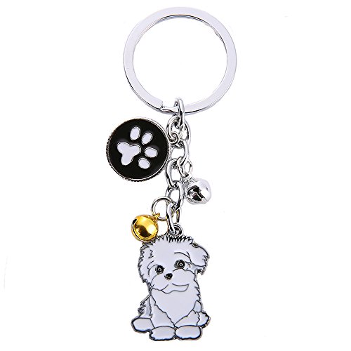 Hund ID Tag, Hunde Schlüsselanhänger Schlüsselanhänger, Nette Metall Welpen ID Tags Hund Schlüsselanhänger (Bichon Frise))