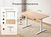 BANTI 48 × 24 Inches Standing Desk, Ergonomic, Electric Height Adjustable, Sit and Stand Up, Computer Office Desk with Splice Board, White Frame/Maple Top