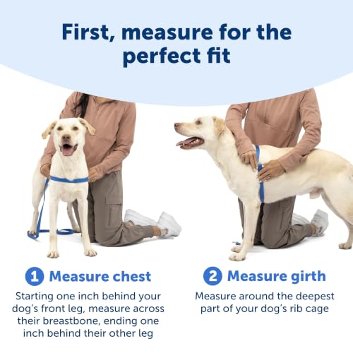 PetSafe Easy Walk Harness, No Pull Dog Harness, Black, Small | Patented Martingale Loop Gives Gradual Shoulder Pressure to Stop Pulling, Front-Chest Leash Clip Prevents Gagging - image 4