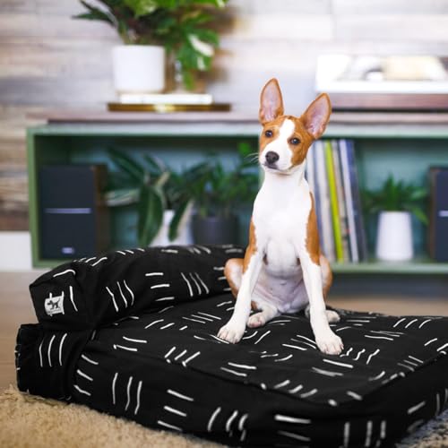 Molly Mutt Small Dog Bed Cover - Dreams - Measures 22"X27"X5"- 100% Cotton - Durable - Breathable - Sustainable - Machine Washable Dog Bed Cover by molly mutt - Image 4