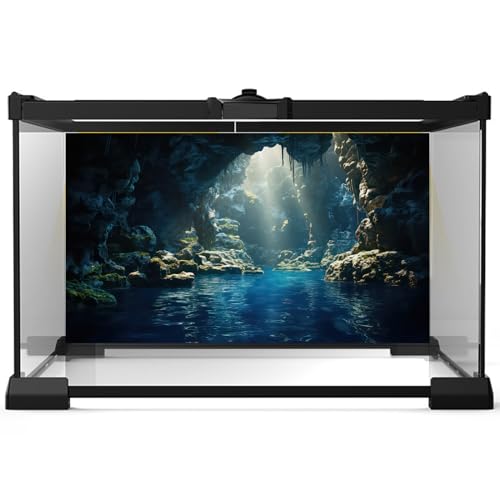 Image of Aquarium Background Underwater Cave with Blue Water and Sunbeams Terrarium Backdrop Fantasy Rocks Moss Sun Rays Fish Tank Background Cave Landscape Tank Wallpaper Poster Vinyl 36x20in