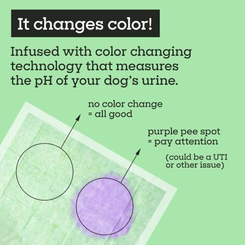 Image of Pet Life Unlimited Health Check Puppy Pads for Dogs, Health Indicating Pee Pads, 10 Count, 22 inch x 22 inch, Color-Track Technology Detects Common Health Issues, Leak-Proof, Super Absorbent, Made in USA