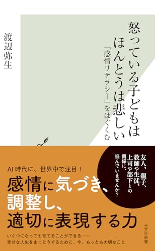 怒っている子どもはほんとうは悲しい　「感情リテラシー」をはぐくむ (光文社新書)